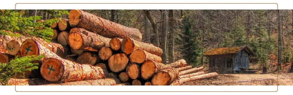 mm sons believe produce quality wood product