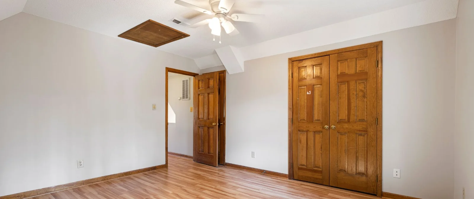 Modern Wood Door